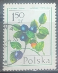 Stamps Poland -  Frutas - Vaccinium myrtillus