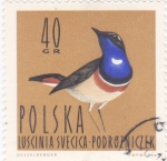 Stamps Poland -  AVE-Pechiazul de manchas blancas