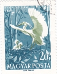 Stamps Hungary -  AVE- Garceta común