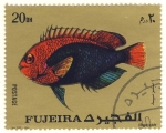 Stamps United Arab Emirates -  pez exotico