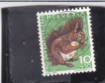 Stamps Switzerland -  Ardilla roja euroasiática