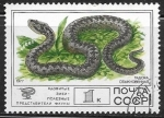 Stamps Russia -  Serpiente