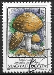 Stamps : Europe : Hungary :  Setas - Amanita pantherina