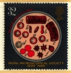 Stamps United Kingdom -  serie- 150 aniv. Real Asociación Microscopio