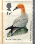 Sellos de Europa - Reino Unido -  serie- Centenario Real Sociedad Protección de Pájaros