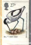 Stamps United Kingdom -  serie- Centenario Real Sociedad Protección de Pájaros