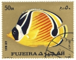Stamps Asia - United Arab Emirates -  pez exotico