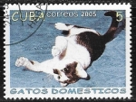 Stamps : America : Cuba :  Gatos domesticos