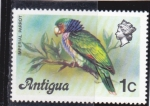 Sellos de America - Antigua y Barbuda -  LORO IMPERIAL