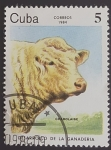 Stamps : America : Cuba :  Charolesa