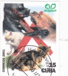 Stamps Cuba -  PERROS Y GATOS