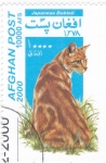 Stamps Afghanistan -  GATO