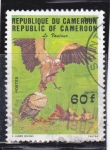 Stamps : Africa : Cameroon :  AVES DE RAPIÑA