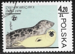 Stamps Poland -  Fauna - Halichoerus grypus