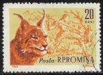 Stamps Romania -  Fauna - Lynx lynx