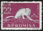 Stamps Romania -  Fauna - Mustela erminea