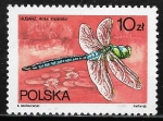 Stamps Poland -  Fauna - Anax imperator
