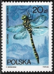Stamps Poland -  Fauna - Cordulegaster annulatus)