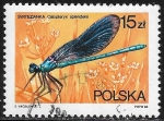 Sellos de Europa - Polonia -  Fauna -Calopteryx splendens)