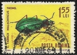 Stamps Romania -  Fauna - Carabus fabricii