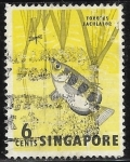 Stamps : Asia : Singapore :  Peces - Toxotes jaculator