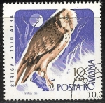 Stamps Romania -  Aves - Tyto alba