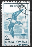 Stamps Romania -  Aves - Stercorarius pomarinus