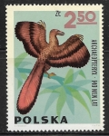 Stamps Poland -  Aves - Archaeopteryx