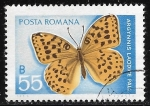 Sellos de Europa - Rumania -  Mariposas - Argynnis laodice