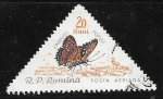 Sellos de Europa - Rumania -  Mariposas - Limenitis populi
