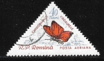 Sellos de Europa - Rumania -  Mariposas - Chrysophanus virgaureae