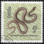 Stamps Poland -  Reptiles - Coronella austriaca