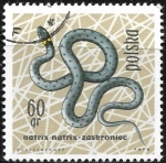 Stamps Poland -  Reptiles - Coronella austriaca