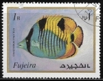 Stamps United Arab Emirates -  Vida marina - Chaetodon falcula