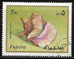 Sellos de Asia - Emiratos rabes Unidos -  Vida marina - Strombus gigas