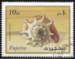Stamps United Arab Emirates -  Vida marina - Strombus pugilis