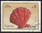 Stamps United Arab Emirates -  Vida marina - Pecten sp.