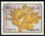 Stamps United Arab Emirates -  Vida marina - Galligorgia plumatilis)