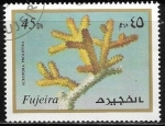 Stamps United Arab Emirates -  Vida marina - Acropora prolifera)