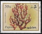Stamps United Arab Emirates -  Vida marina - Corallium rubrum