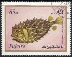 Stamps United Arab Emirates -  Vida marina - Chilomycterus antillarum