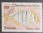 Stamps : Africa : Benin :  Carangidus sp.