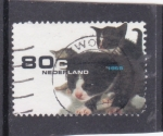 Stamps Netherlands -  gatos