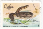 Stamps Cuba -  FAUNA DE LA CIENAGA DE ZAPATA