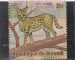 Stamps Burundi -  FELINO