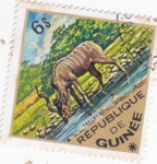 Sellos de Africa - Guinea -  CERVIDO