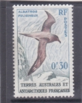 Stamps Oceania - Australian Antarctic Territory -  ave