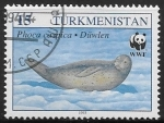 Sellos del Mundo : Asia : Turkmenist�n : Animales - Phoca caspica
