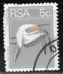Sellos de Africa - Sud�frica -  Aves - Morus capensis
