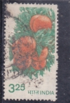 Stamps India -  FRUTA-